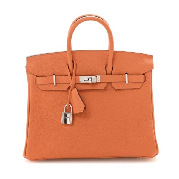 Birkin 25 Orange Togo Sliver Hardware