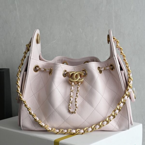 CHANEL 25 Mini Handbag
